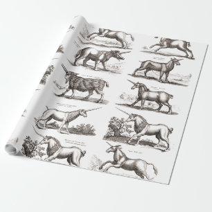 Papel De Regalo Grabado Antiguo de Unicornio Especimen de Zoología