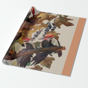 Papel De Regalo Grabado de ave Carpintero Pileado de John James Au