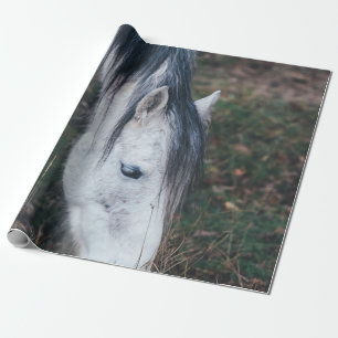 PAPEL DE REGALO GRACIAS AL CABALLO GRIS EN UN DÍA DE OTOÑO