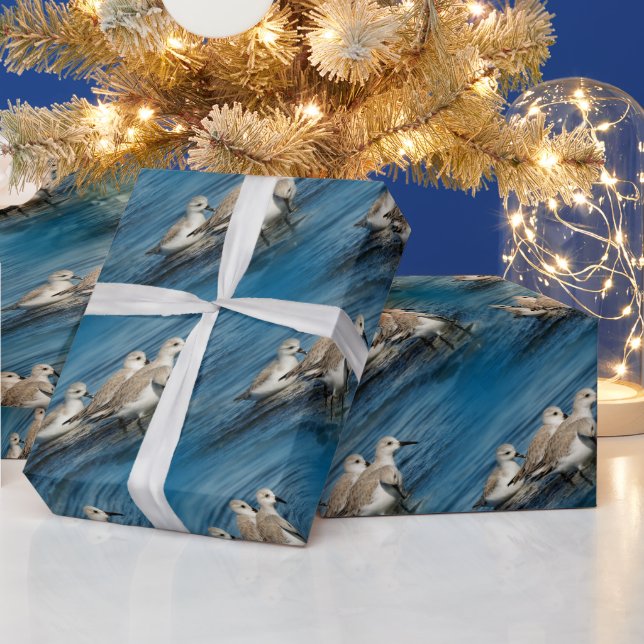 Papel De Regalo Gracioso plato 4 sandpipers en la playa (Vacaciones)