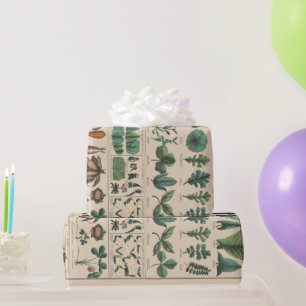 Papel De Regalo Gráfico Antiguo de la Escuela Botánica Naturaleza 