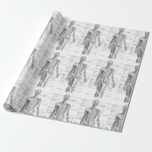 Papel De Regalo Gráfico médico de anatomía humana