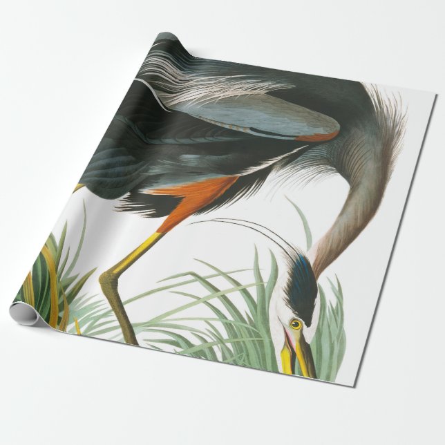 Papel De Regalo Gran garza azul de John James Audubon (Desenrollado)
