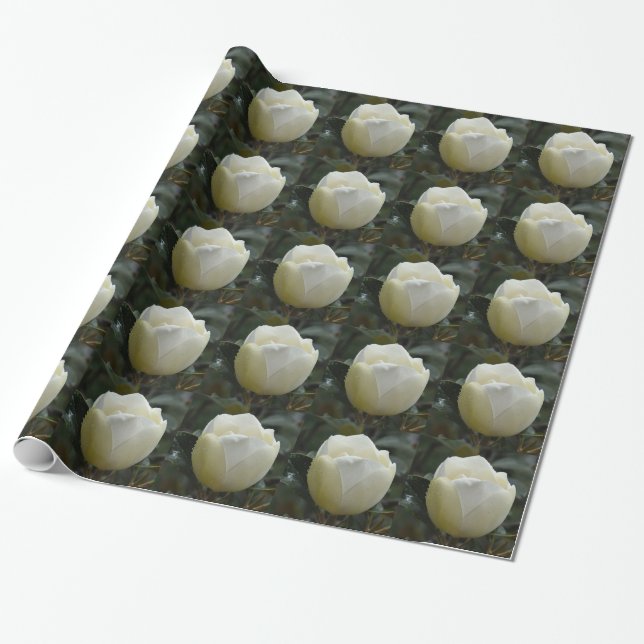 Papel de regalo grandiflora de la magnolia (Desenrollado)
