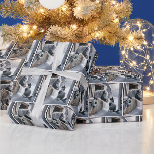Papel De Regalo Granja de Navidad Poni y Gato