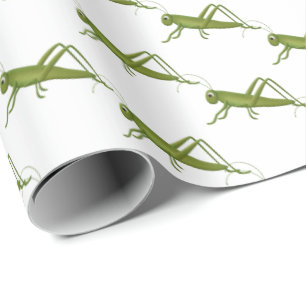 Papel De Regalo Grasshopper On White