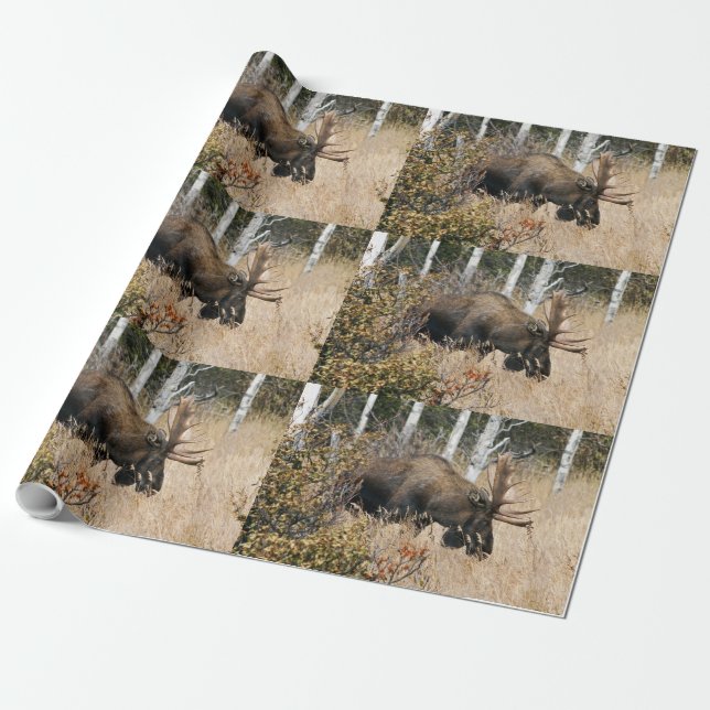 Papel De Regalo Grazing Moose (Desenrollado)