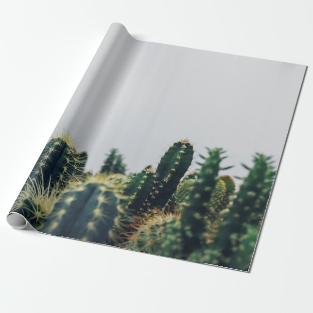 PAPEL DE REGALO GREEN CACTI (Desenrollado)
