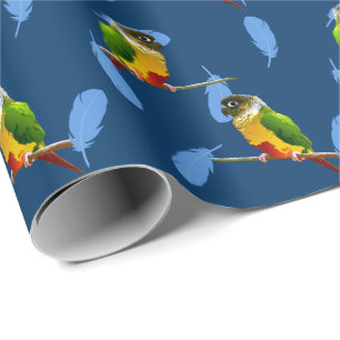 Papel De Regalo Green Cheek Conure Blue Feathers Mascota Bird Cump