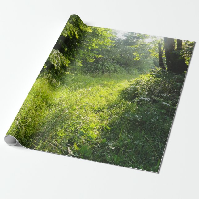 Papel De Regalo Green Forest Meadow (Desenrollado)