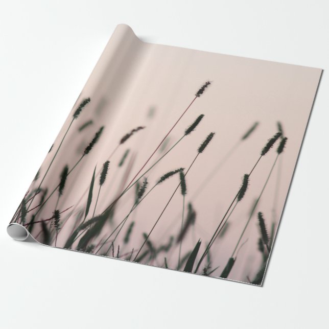 PAPEL DE REGALO GREEN GRASS (Desenrollado)