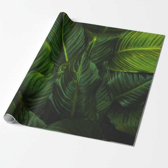 PAPEL DE REGALO GREEN-LEAFED PLANT (Desenrollado)