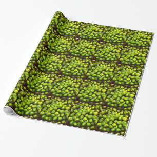 Papel De Regalo Green Peas