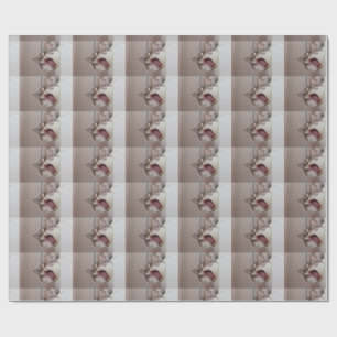Papel De Regalo Gritando British Shorthair