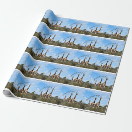 Papel De Regalo Growing Tall Safari Wrap