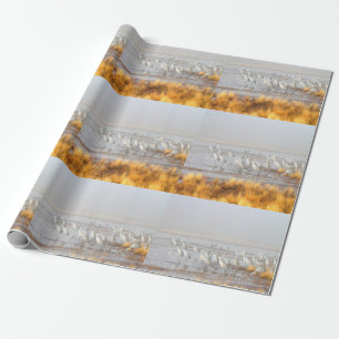 Papel De Regalo Grúas brumosas de Sandhill