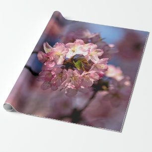 Papel De Regalo Grupo De Flores De Sakura
