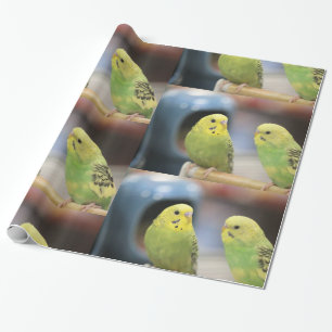 Papel De Regalo Guardias serios