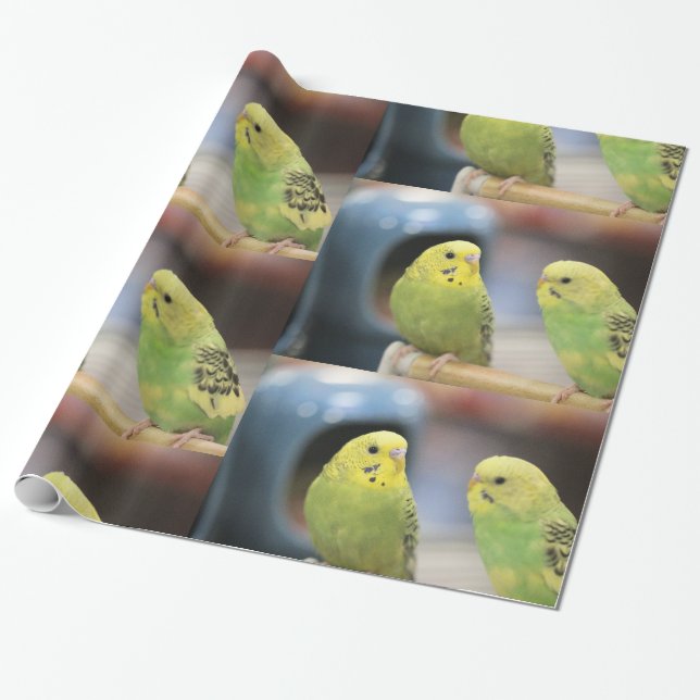 Papel De Regalo Guardias serios (Desenrollado)