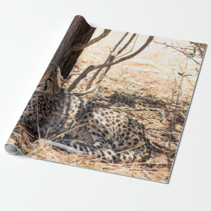 Papel De Regalo Guepardo que se relaja debajo de un árbol
