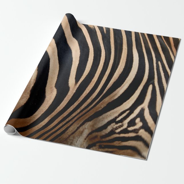 Papel De Regalo hair skin of zebraskin,animal,background,black,bod (Desenrollado)