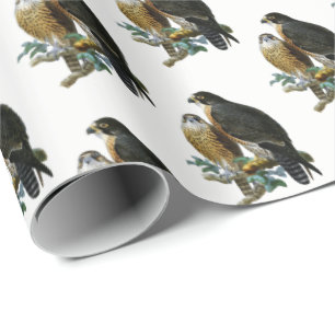 Papel De Regalo Halcones Estilizados Vintage en Rama