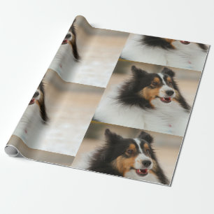 Papel De Regalo Happy Shelty