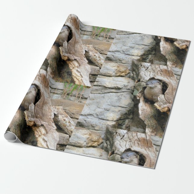 Papel De Regalo Harry Otter (Desenrollado)