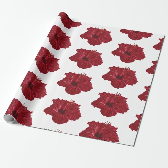 Papel De Regalo Hawái (Desenrollado)