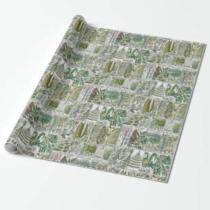 Papel De Regalo Helechos Estilizados Vintage Placa de Libro Botáni