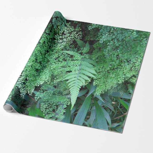 Papel De Regalo Helechos hawaianos (Desenrollado)