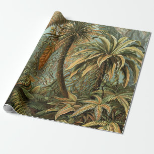 Papel De Regalo Helechos Palma Árbol Antiguo Arte Botánico Helecho