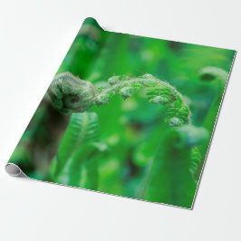 Papel De Regalo Helechos que despliegan