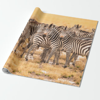 PAPEL DE REGALO HERD DE ZEBRAS