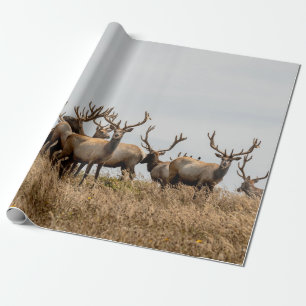 PAPEL DE REGALO HERD OF DEER