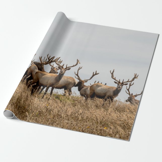 PAPEL DE REGALO HERD OF DEER (Desenrollado)