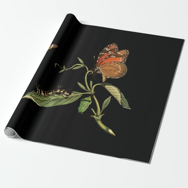 Papel De Regalo Hermosa - Elegancia - Mariposa - Flor (Desenrollado)