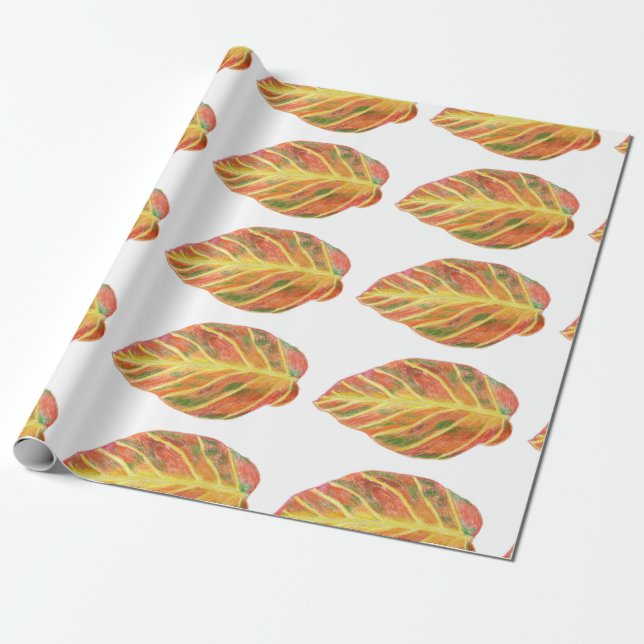 Papel De Regalo Hermosa haya en caída (Desenrollado)