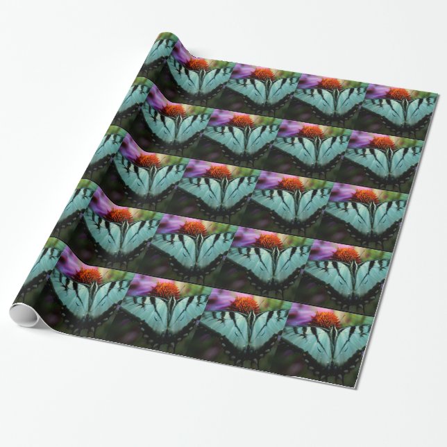 Papel De Regalo Hermosa mariposa turquesa (Desenrollado)