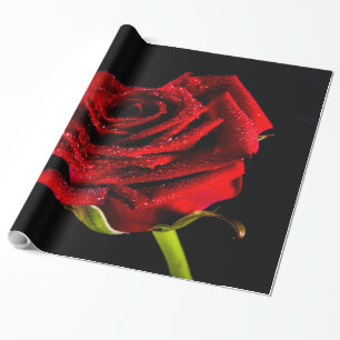 Papel De Regalo Hermosa rosa roja
