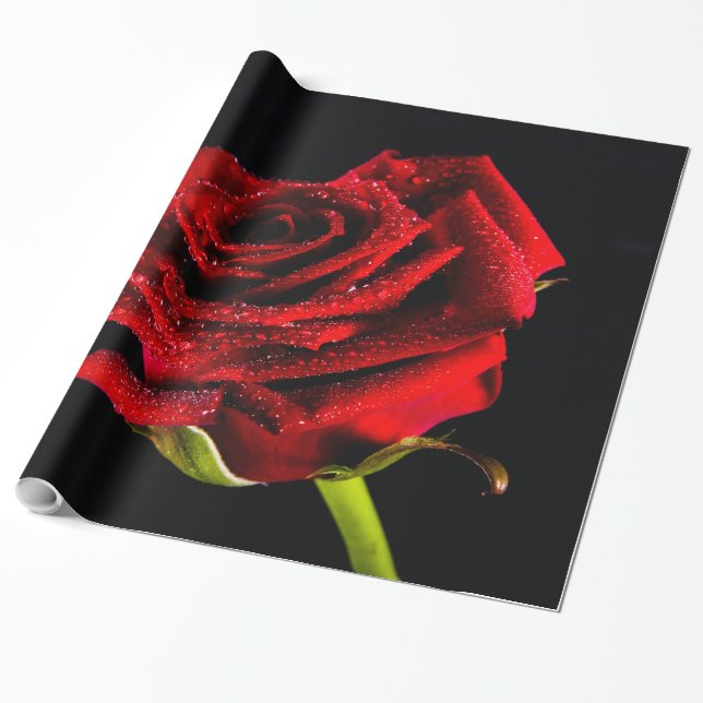 Papel De Regalo Hermosa rosa roja (Desenrollado)