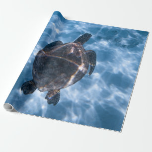 Papel De Regalo Hermosa tortuga acuática Mejor regalo para la vi