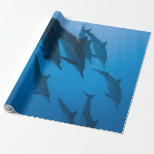 Papel De Regalo Hermosas criaturas oceánicas