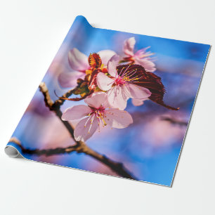 Papel De Regalo Hermosas flores de Sakura