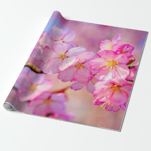 Papel De Regalo Hermosas Flores De Sakura Rosa En Primavera
