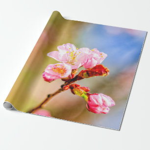 Papel De Regalo Hermosas Flores De Sakura Rosa En Un Día Soleado
