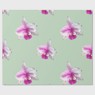Papel De Regalo Hermosas orquídeas tropicales rosa pastel