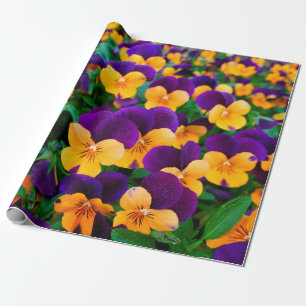 Papel De Regalo Hermosas pansias florecientes en el jardín