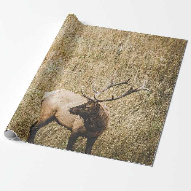 PAPEL DE REGALO HERMOSO ELK DEER (Desenrollado)