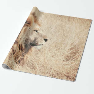 PAPEL DE REGALO HERMOSO LEÓN